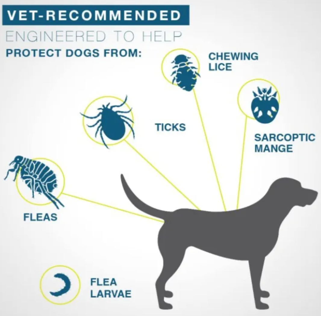 Pet Dog Cat Repellent Collar