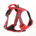 Universal Reflective Vest-style Dog Leash and Harness