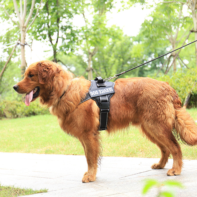 Reflective Dog Harness with Personalized Copybook